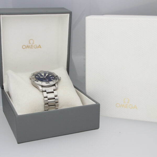 Omega Seamaster Professional 300M 2263.80